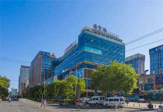 盐湖区树苗供应